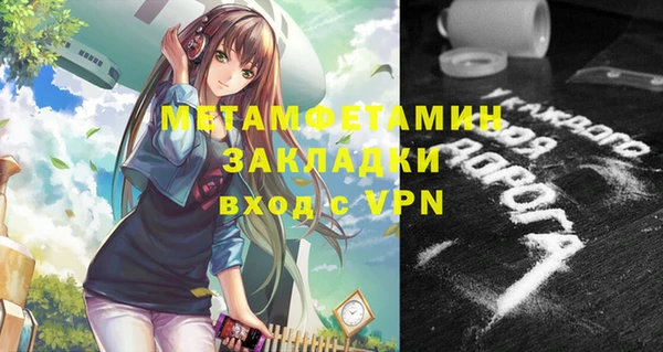 шишки Покачи