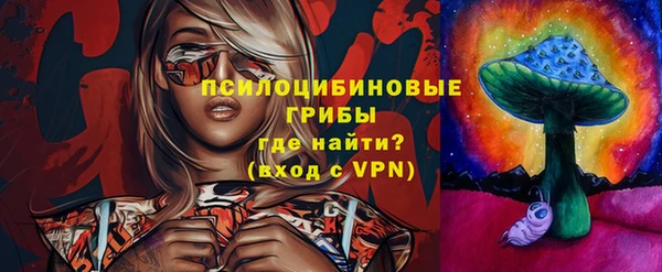 шишки Покачи