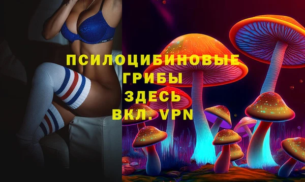 spice Арсеньев