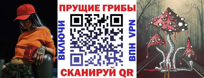 Псилоцибиновые грибы GOLDEN TEACHER  цены наркотик  Петровск-Забайкальский 